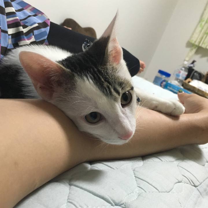 4f0b4201 3ec1 49bb ac88 c1812370c720