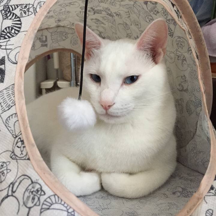 4f0be276 5304 42ef b24a 9504eb6663da