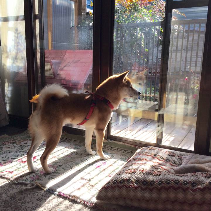 4f0c07e7 cb05 447f 83eb 65e572d63982