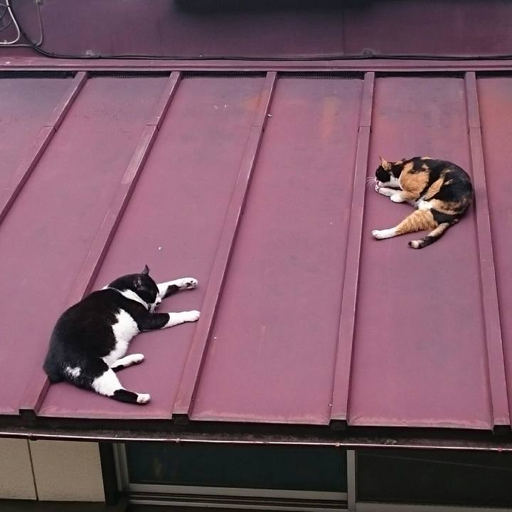 4f0c1fb2 f275 43f0 890e a523346cbab7