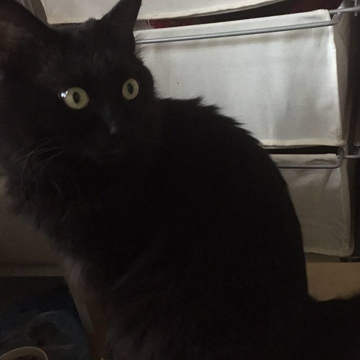 4f0ce4ba 55a1 405f a827 26ab67002a9a