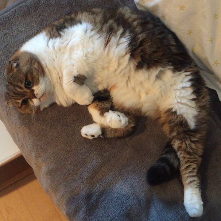 4f0d097e ef8a 476e 90ab 7942edf191e4