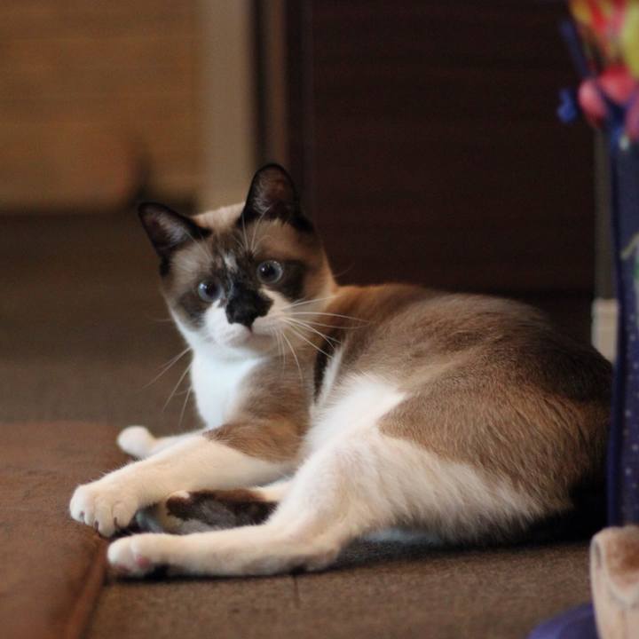 4f0d4482 565e 4af8 8f5c 8e26d6437719