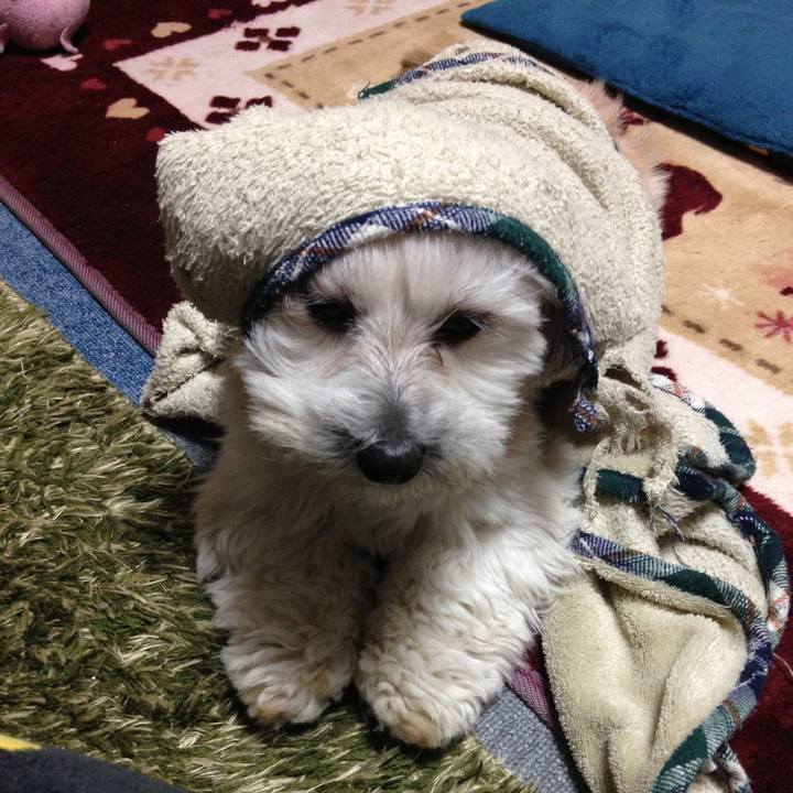 4f0dbdc3 7333 446a a7b2 7be2f4260f7f