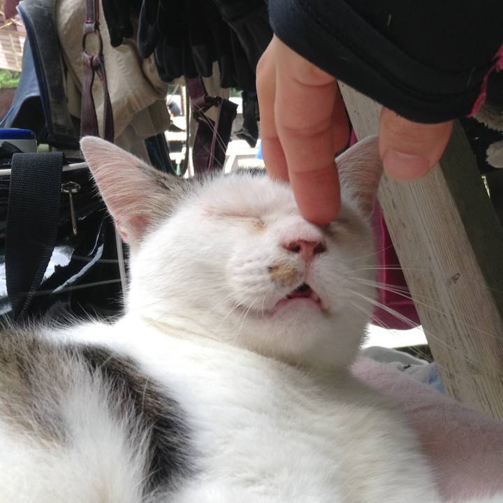 4f0dead1 9871 42a4 bb3a 6c38a19f1a04