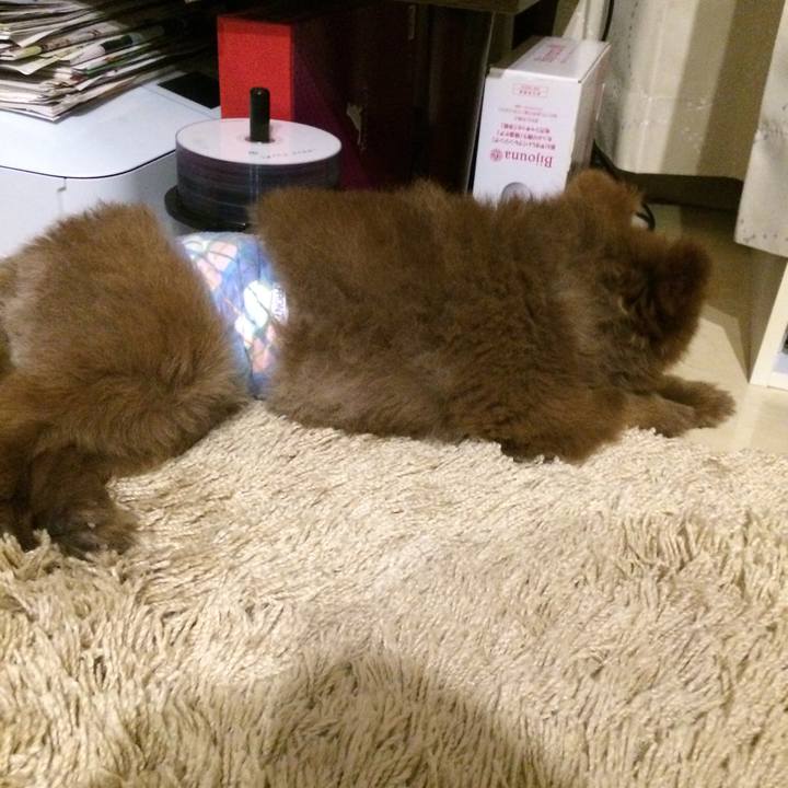 4f0ee53c cf1d 4d4f be40 4ed8ecee5e05