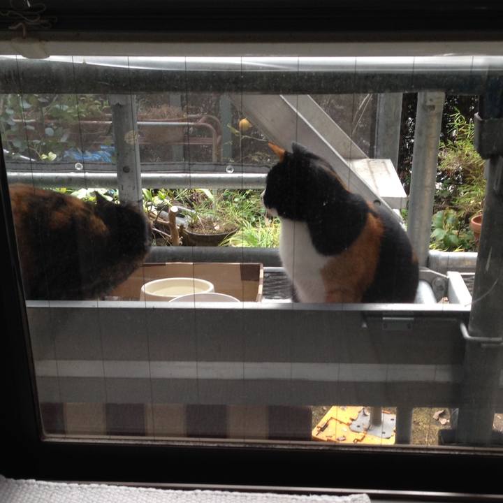 4f0f11ae 7644 4f01 a345 2edb3c1237af