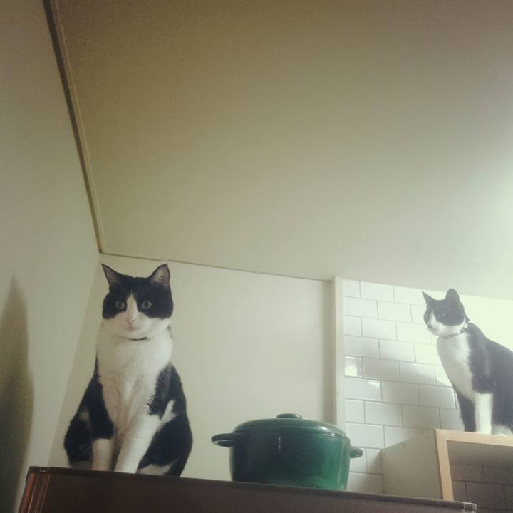 4f0f6c0e ffa2 403c 85d4 e37b8941ebba