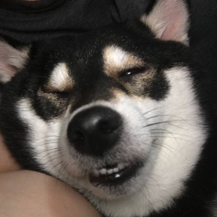 4f0ffffc 4735 496d b256 c71cf7e57b81