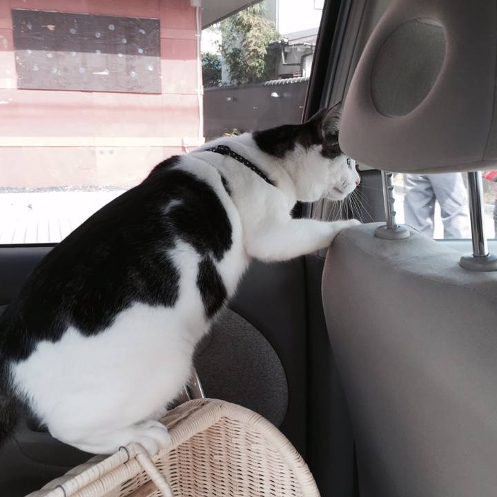 4f10b798 d6e3 4aa1 ad14 4bb7481546f1