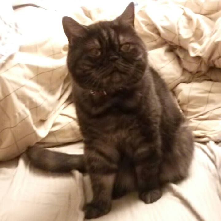 4f10da8c 1ce3 4a12 99ce 714fe32034af