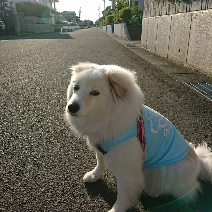 4f116757 400f 4846 ad58 73a9305b2633