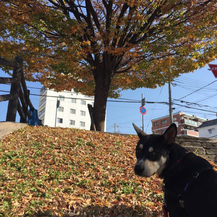 4f1167b4 ed56 4a1e 943d 992e43fbf77d