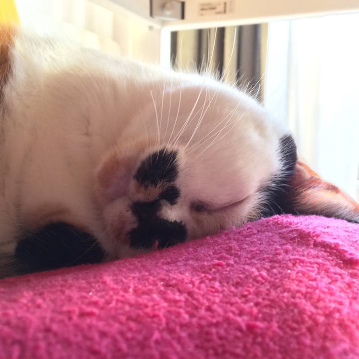 4f12397d c7b8 4d7b 99cd e13ab9980569