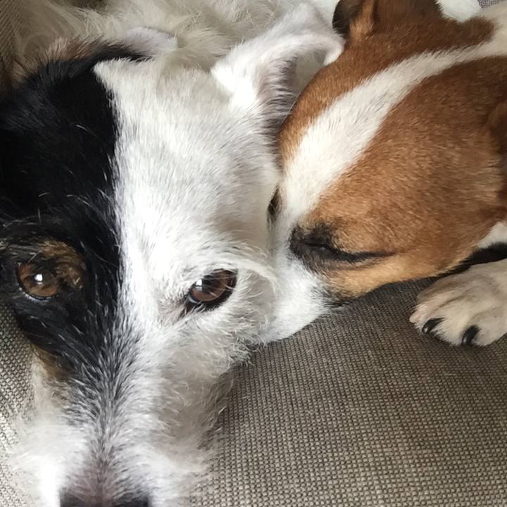 4f12e58e b3b4 498b 9b12 5d15399929b4