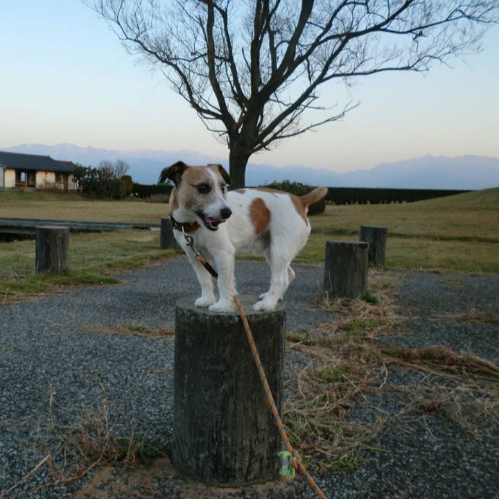 4f132124 4155 497a a438 75617f3e2f06