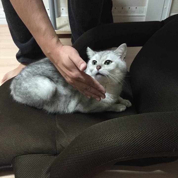 4f13423e 4c62 46ea 88b9 029918109534