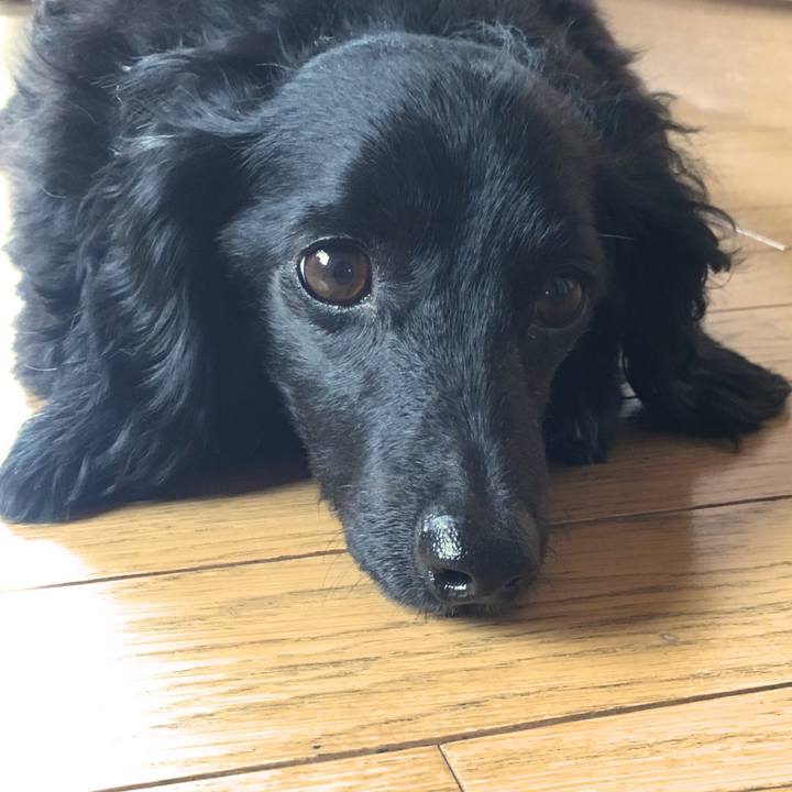 4f13afc1 4be8 4ae7 b2d2 acb3dc66d1ee