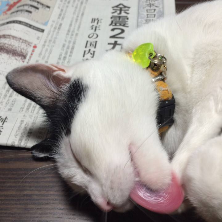 4f146b04 4e3b 436a b31b 4b162cc6a708