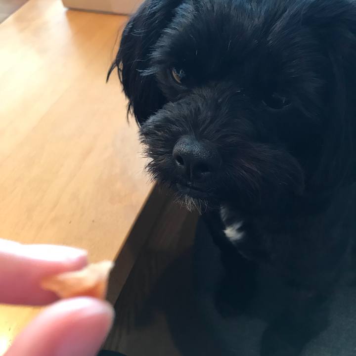 4f148e56 0a04 48f3 9de6 614b0c8ed10f