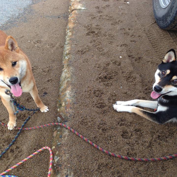 4f152add 8e28 499f b902 5739b55bba20