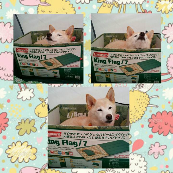 4f157440 3a62 4c55 9e07 75b81478d3a0