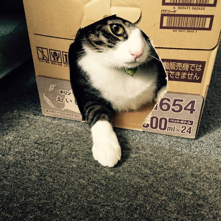 4f15e85b a590 4ca7 8863 d1fe02172cf3