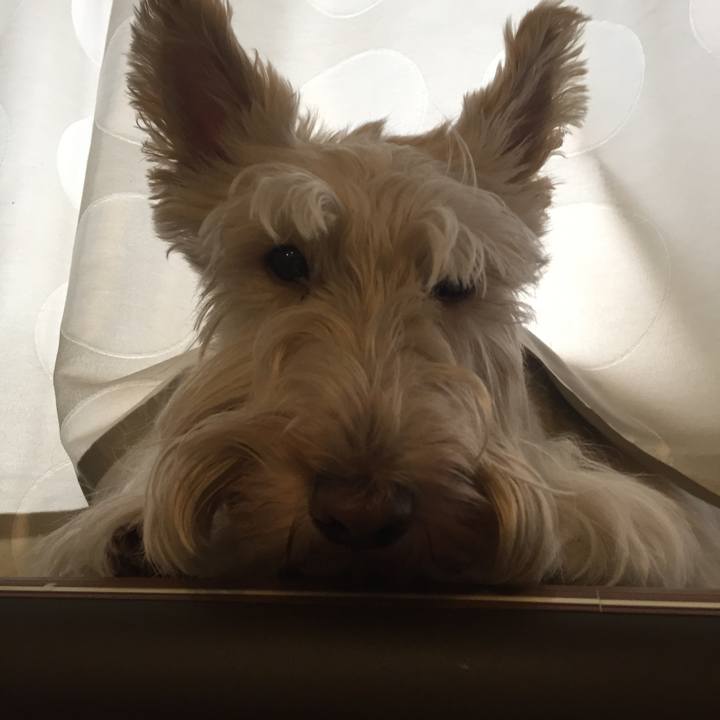 4f15ffb1 010b 4a87 9473 64fd64573e24