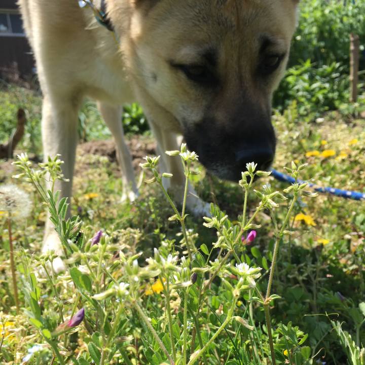 4f16f191 5eee 4cfc b2b9 fd721a0c4132