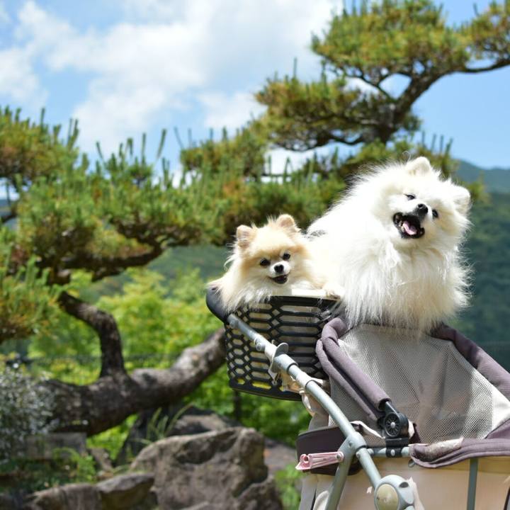 4f17687d ec87 4081 8e79 04a3620c9a66