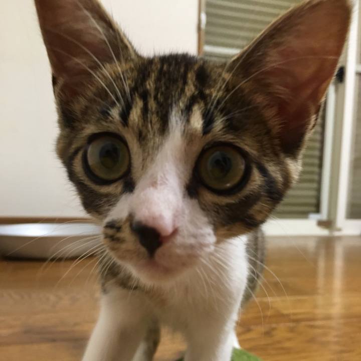 4f17952c 6179 4319 9538 e52bffac20f6