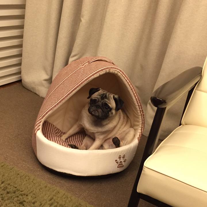 4f17b4aa 272f 42c6 bdd5 57815ffeb235