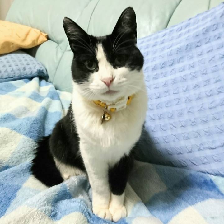 4f17b59f 84a8 4d9b 8912 ea8925ceb3ac