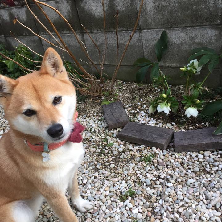 4f17fd78 c1fe 49ac 94bd c4561ae6fc96