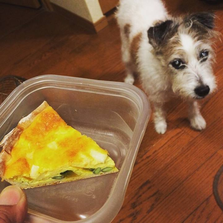 4f18cf71 6614 446b 839a 37ad5db6950e