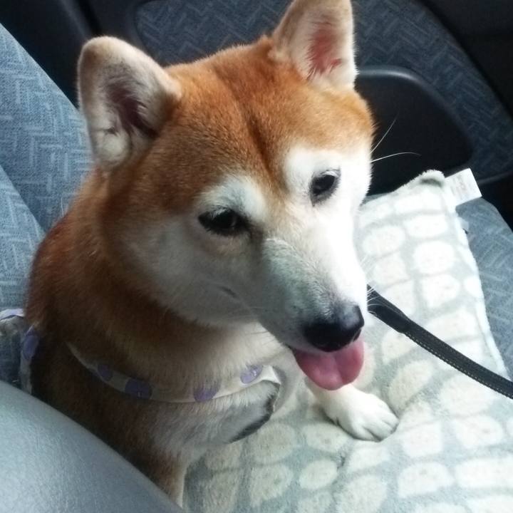 4f18e700 606e 46be bd60 d71697168f3c