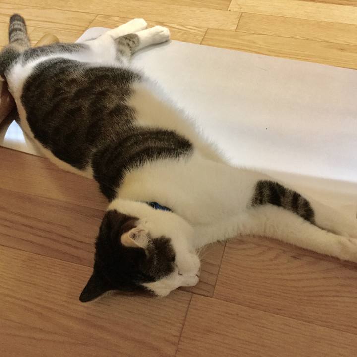 4f1a5b7d 64a9 4437 a413 32c591d170cf