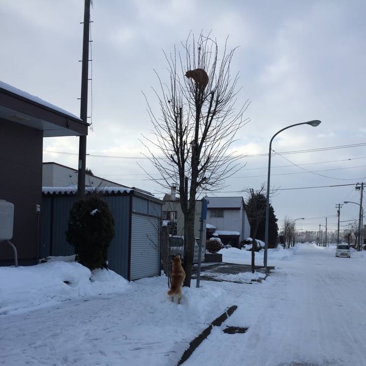 4f1ab067 9b43 474a b7ed b57922d1c998