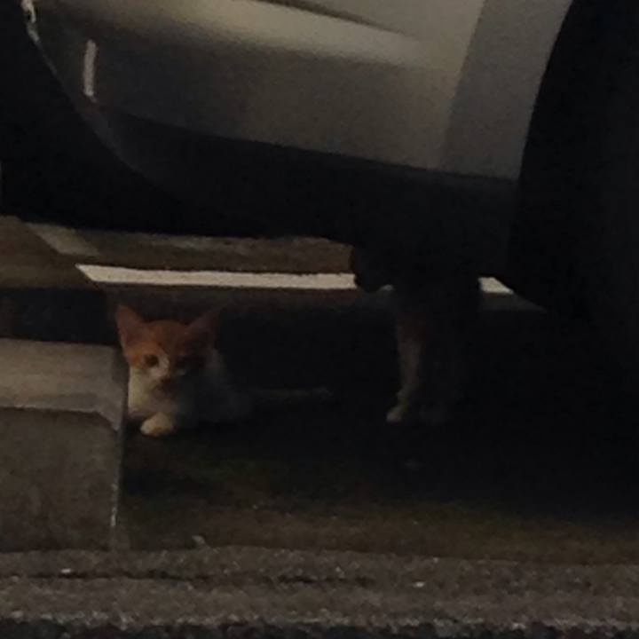 4f1aff15 8fbb 48cc ba1c d3dc88f40b5c