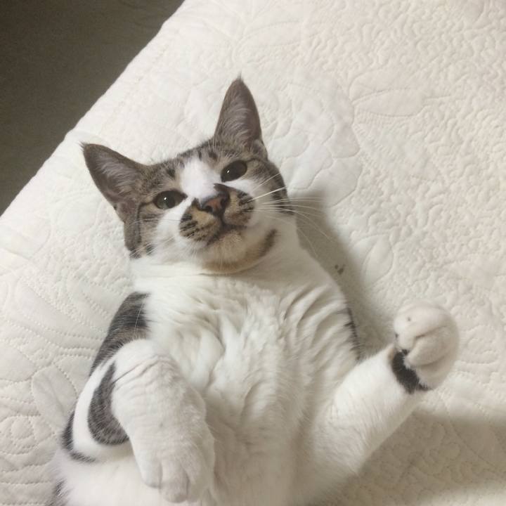 4f1b27e0 be78 4b16 8222 6d8acd4538f0