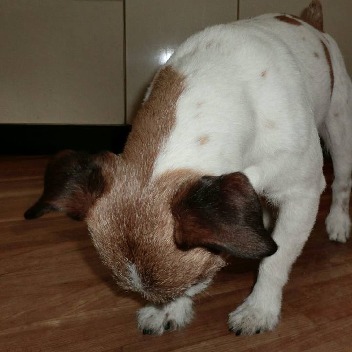 4f1bd799 c586 4be9 b334 9785f3f551a0