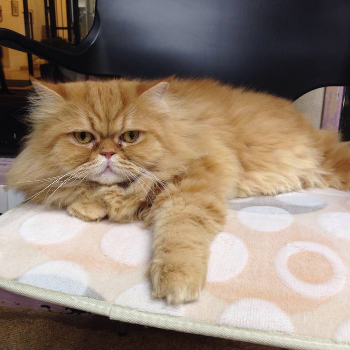 4f1bf071 5ad6 46bd b9c9 fd5965e1f257