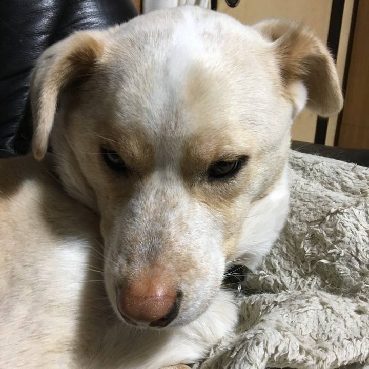 4f1c2804 0622 4d7d bdd8 0f467a9cb90c