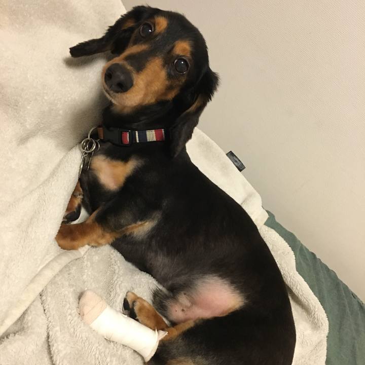 4f1c4ec9 8be6 45da a14d 57f61b798a34