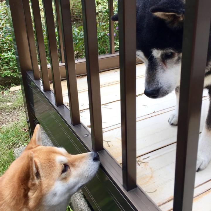 4f1cf1e5 97e0 4c27 8c41 65b75147a236