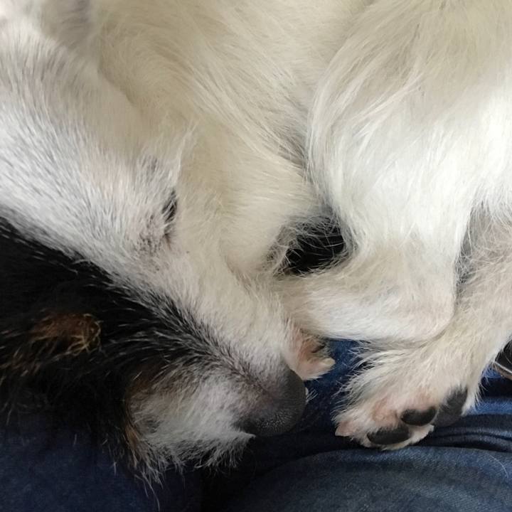 4f1e27e9 50fe 479c a024 0115f0e6fa76