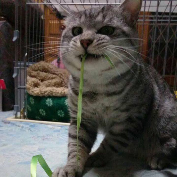 4f1e5a90 65bf 46f0 8461 9f59199b9e10