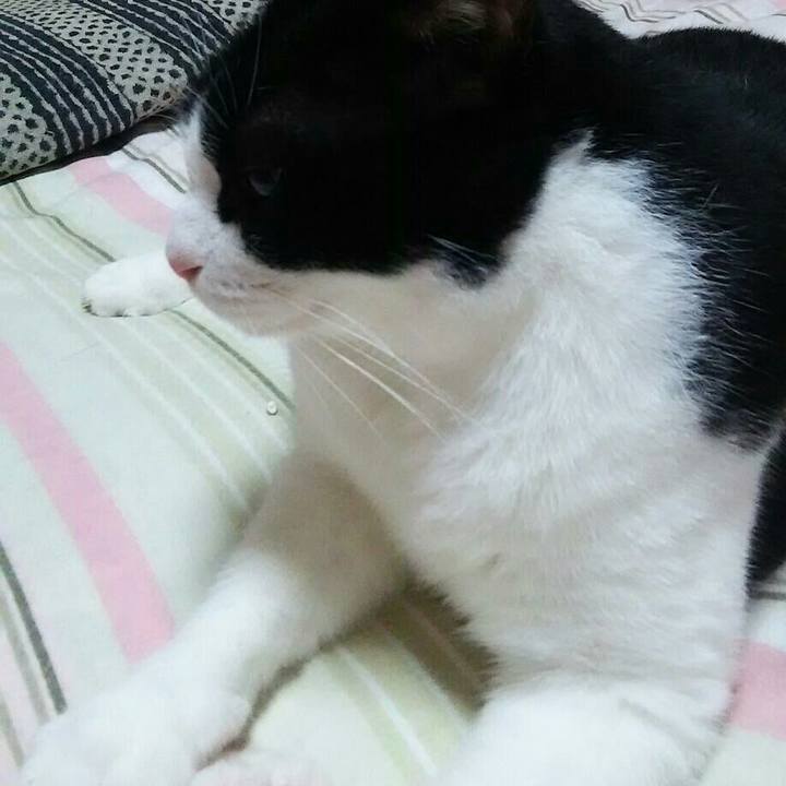 4f1e6187 2961 4e75 9503 bc2edb5401a2