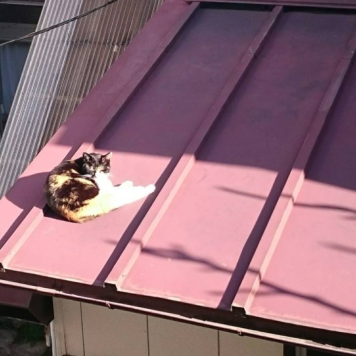 4f1f6a63 5a85 461b 9beb 17df4e573d44