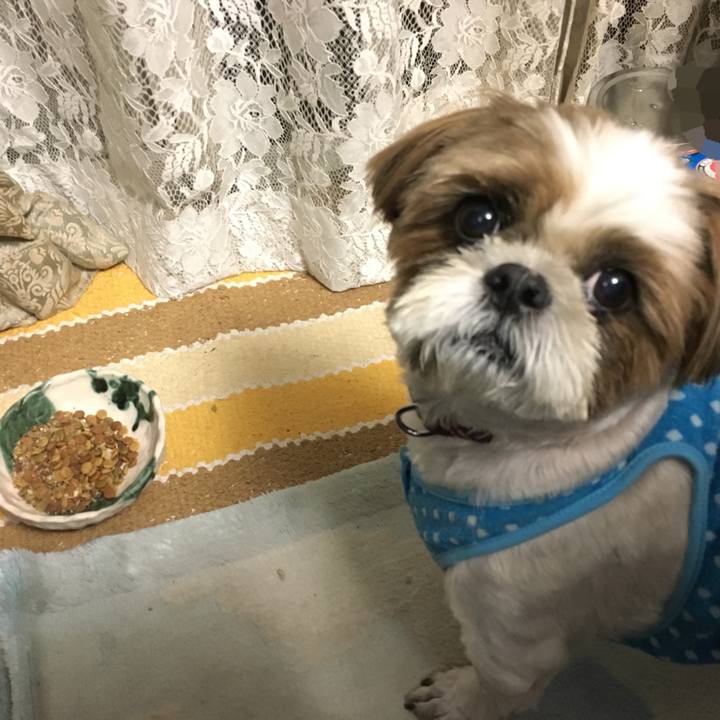 4f1f8708 afe9 47ae 9ff1 1b699c96a1e4